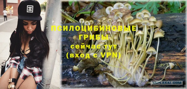 МДПВ Мегион