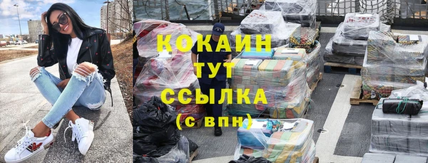 МДПВ Мегион