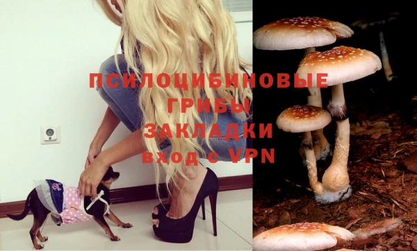стаф Ахтубинск