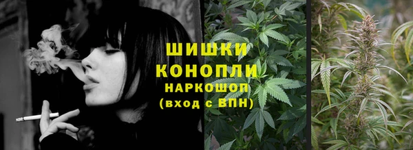 МДПВ Мегион