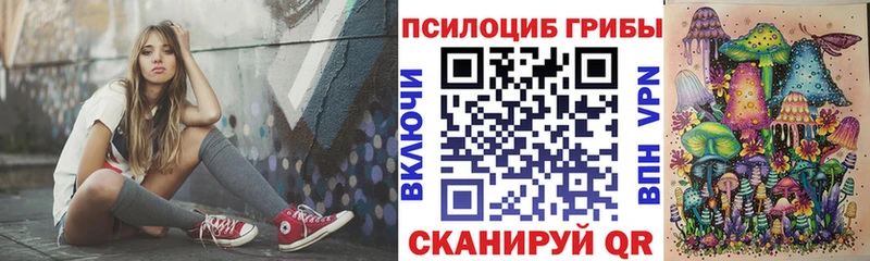 где продают наркотики  Яранск  Псилоцибиновые грибы Psilocybe 